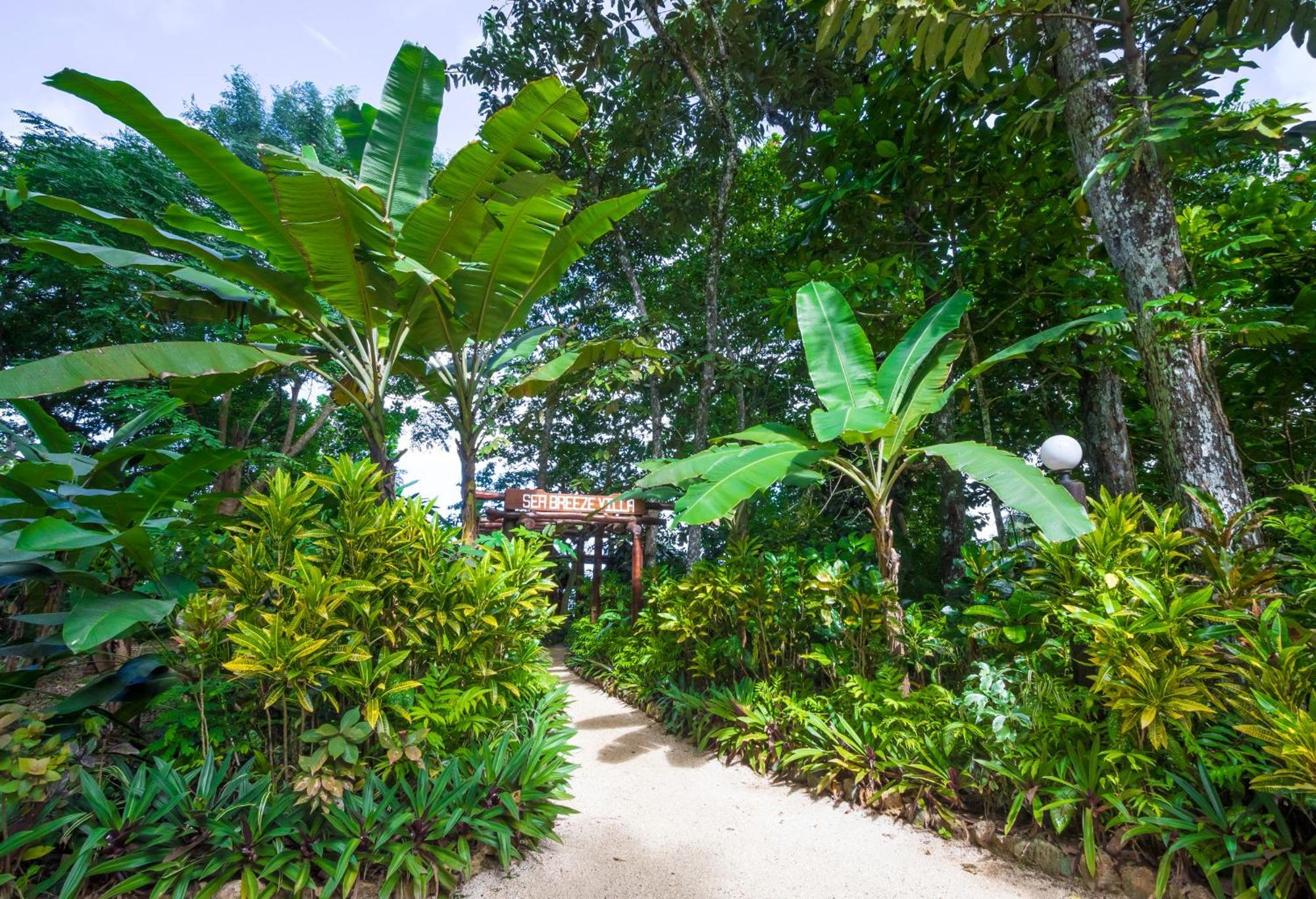 Savasi Island Resort Savusavu Room photo